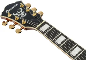 Ibanez AG95MG-DA