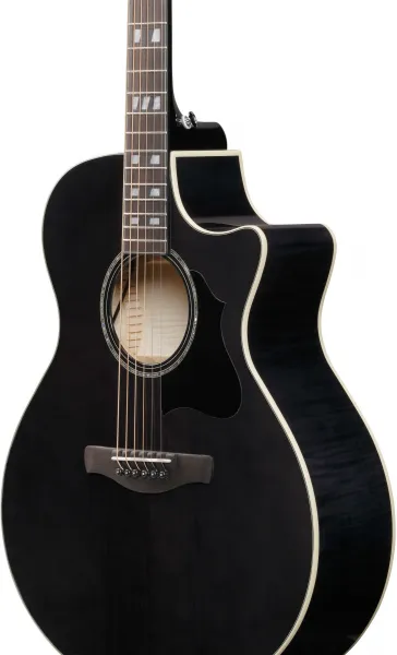 Ibanez AE170-TBK