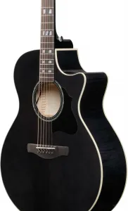 Ibanez AE170-TBK