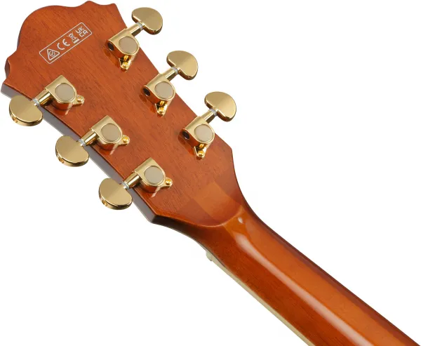Ibanez AG95MG-DA