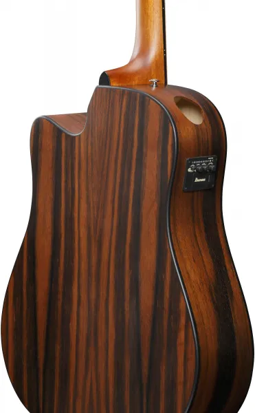 Ibanez AAD70CE-TBN