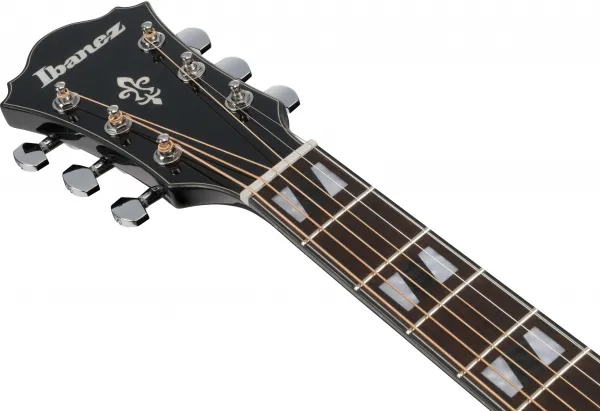 Ibanez AE170-TBK