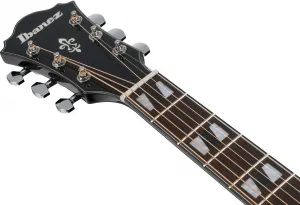 Ibanez AE170-TBK