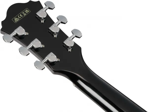 Ibanez AE170-TBK