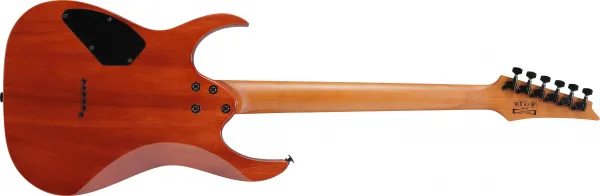 Ibanez GRGR221FA-TDK