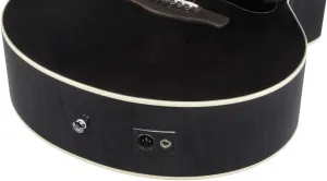 Ibanez AE170-TBK