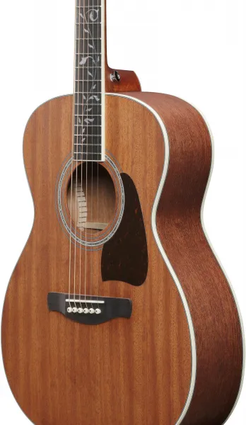 Ibanez AC390MHE-OPN