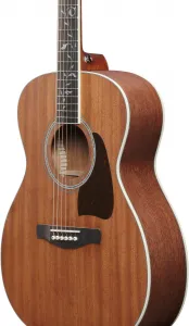 Ibanez AC390MHE-OPN