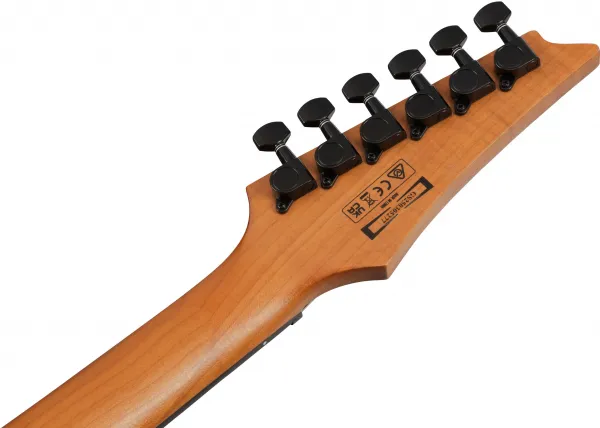 Ibanez GRGR221FA-TDK