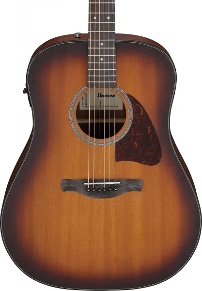 Ibanez AAD54E-OMH