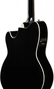Ibanez TCY10PA-BKB