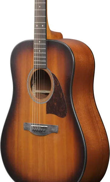 Ibanez AAD54E-OMH