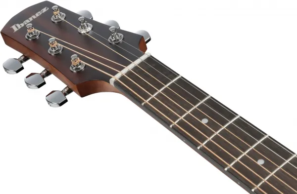 Ibanez AAD54E-OMH