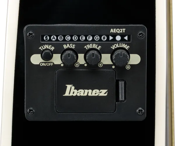 Ibanez TCY10PA-BKB
