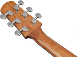 Ibanez AAD54E-OMH