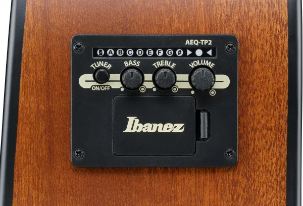 Ibanez AAD54E-OMH