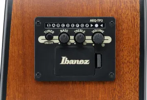 Ibanez AAD54E-OMH