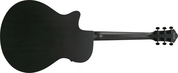 Ibanez AEG1221-BOT