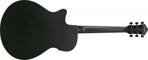 Ibanez AEG1221-BOT