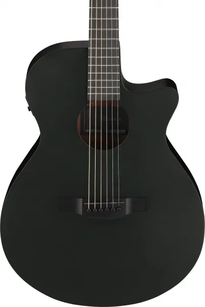 Ibanez AEG1221-BOT