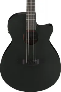 Ibanez AEG1221-BOT