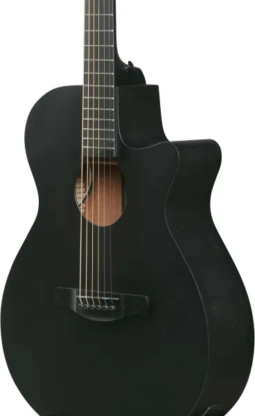 Ibanez AEG1221-BOT