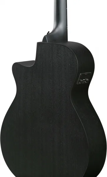 Ibanez AEG1221-BOT