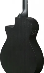 Ibanez AEG1221-BOT
