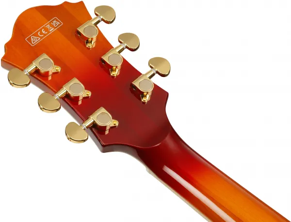 Ibanez AF115-AWB