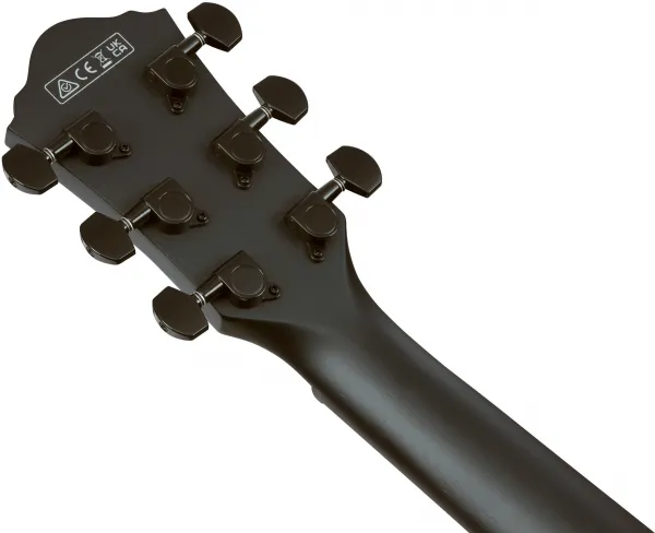 Ibanez AEG1221-BOT