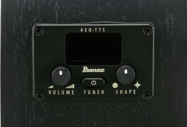Ibanez AEG1221-BOT