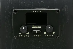 Ibanez AEG1221-BOT
