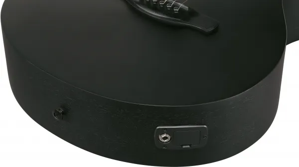 Ibanez AEG1221-BOT