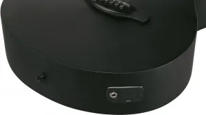 Ibanez AEG1221-BOT