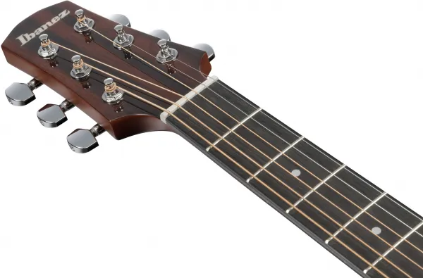 Ibanez AAD51CE-DVS