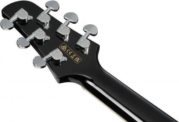 Ibanez TCY10PA-CBS
