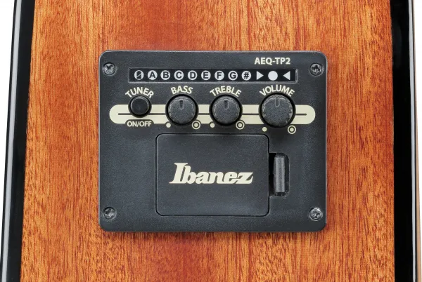 Ibanez AAD51CE-DVS