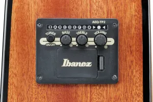 Ibanez AAD51CE-DVS