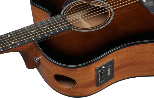 Ibanez AAD51CE-DVS