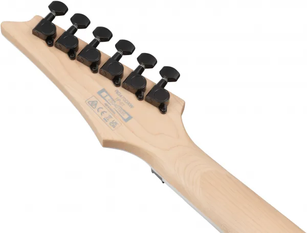 Ibanez RG470DXW-WZM