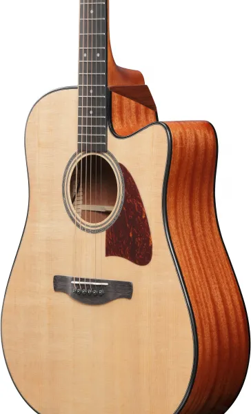 Ibanez AAD51CE-NT