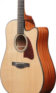 Ibanez AAD51CE-NT