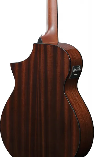 Ibanez AEWC16QA-TLH