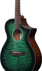 Ibanez AEWC16QA-TEH