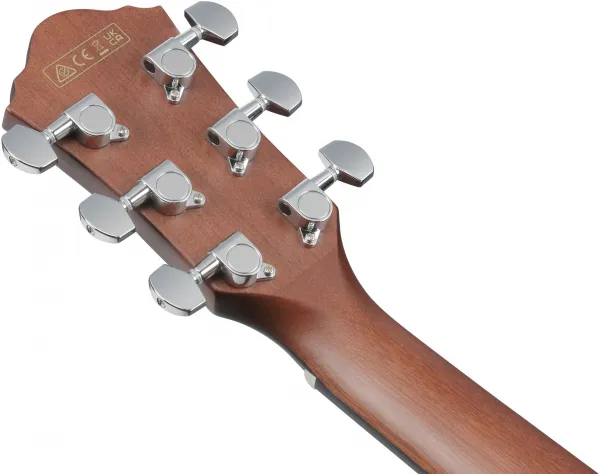 Ibanez AEWC16QA-TLH