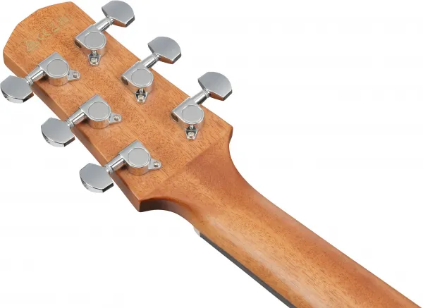 Ibanez AAD51CE-NT