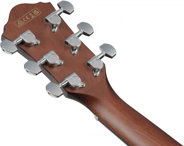 Ibanez AEWC16QA-TKH