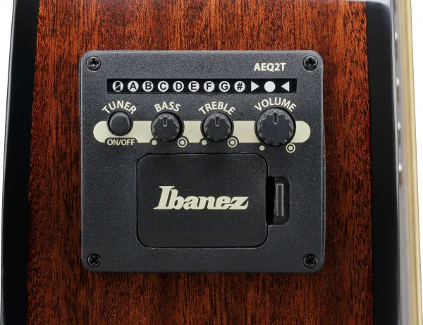 Ibanez AEWC16QA-TLH