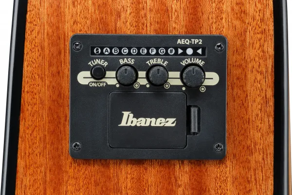 Ibanez AAD51CE-NT