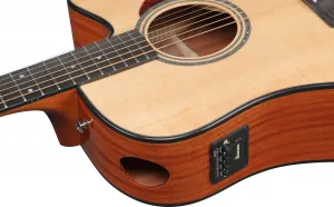 Ibanez AAD51CE-NT